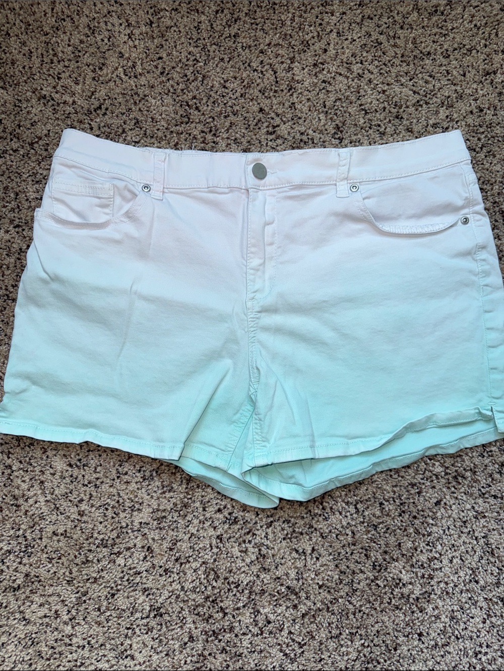 NY&C SoHo White to Mint Green Ombré Denim Shorts Size 14